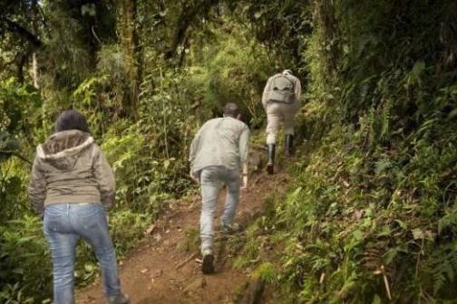 people hiking